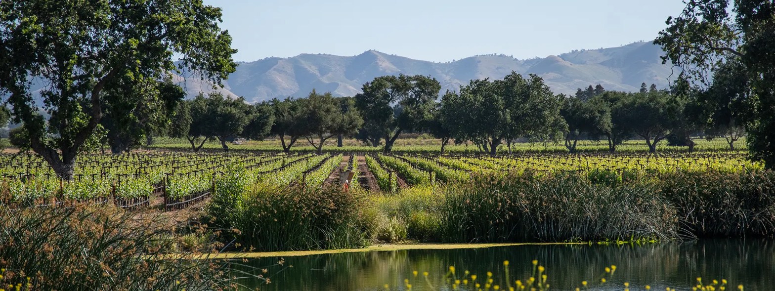 firestone vineyard hero contact us